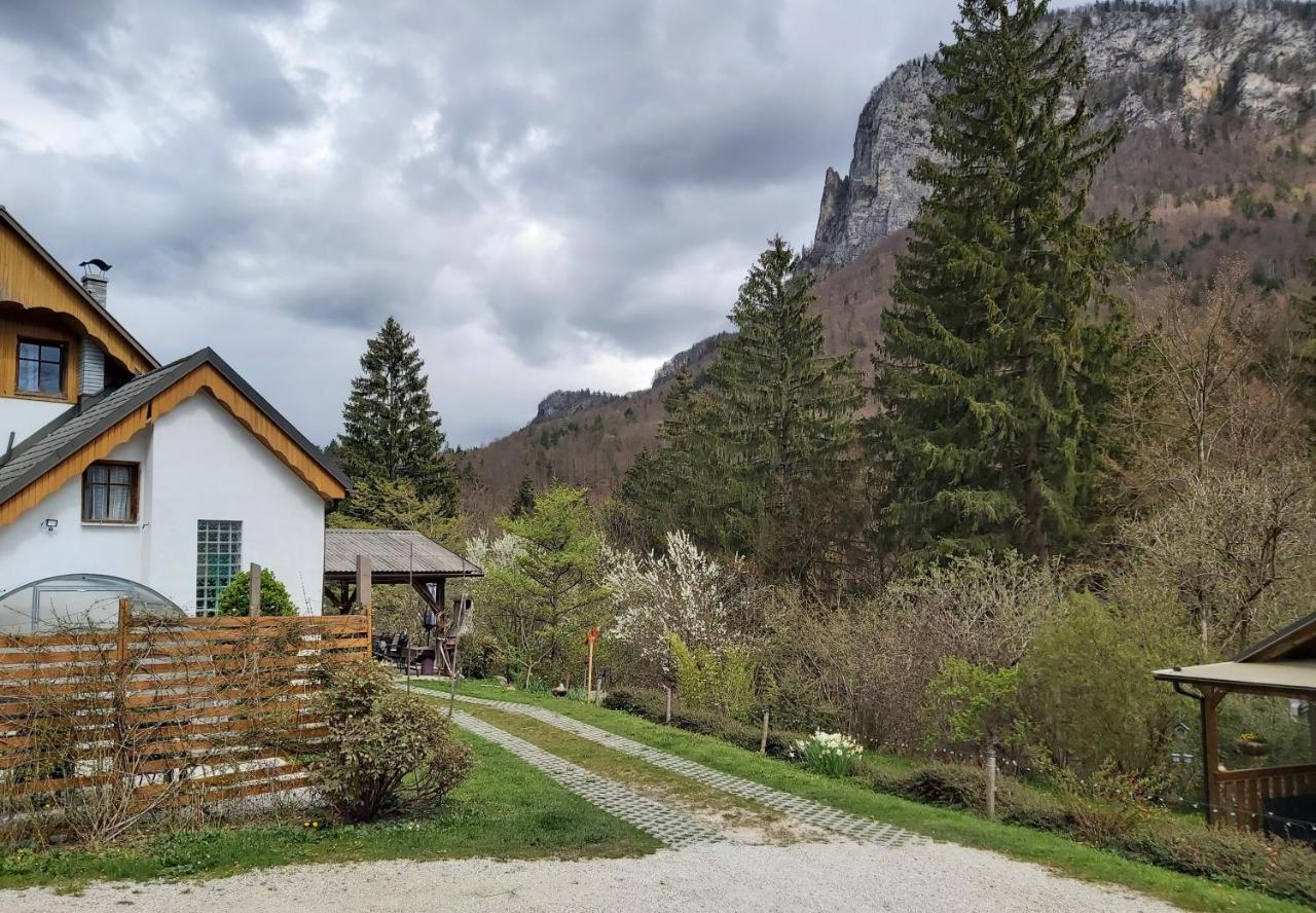 Ingreen House بوهينيسكا بيلا المظهر الخارجي الصورة