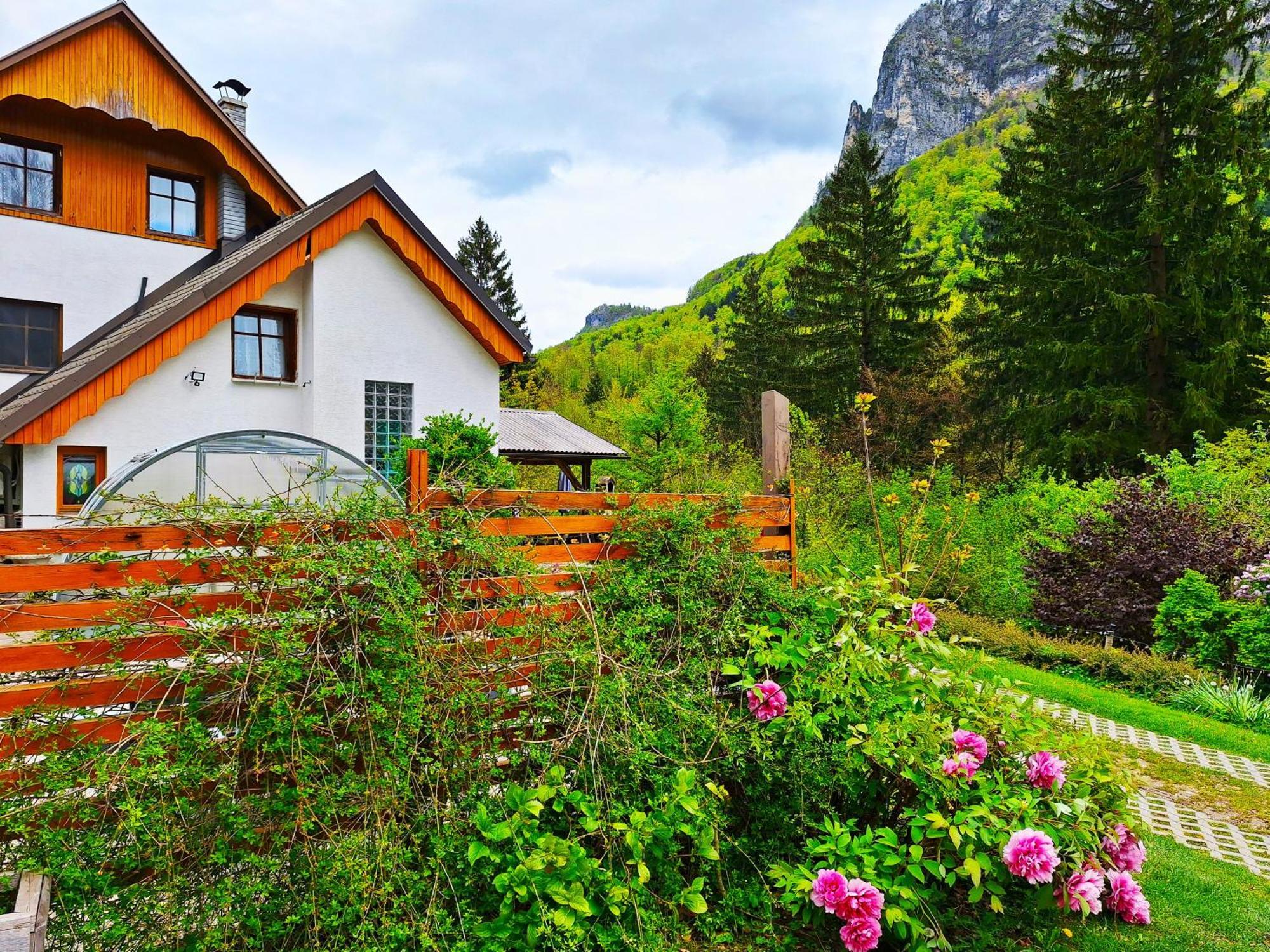 Ingreen House بوهينيسكا بيلا المظهر الخارجي الصورة